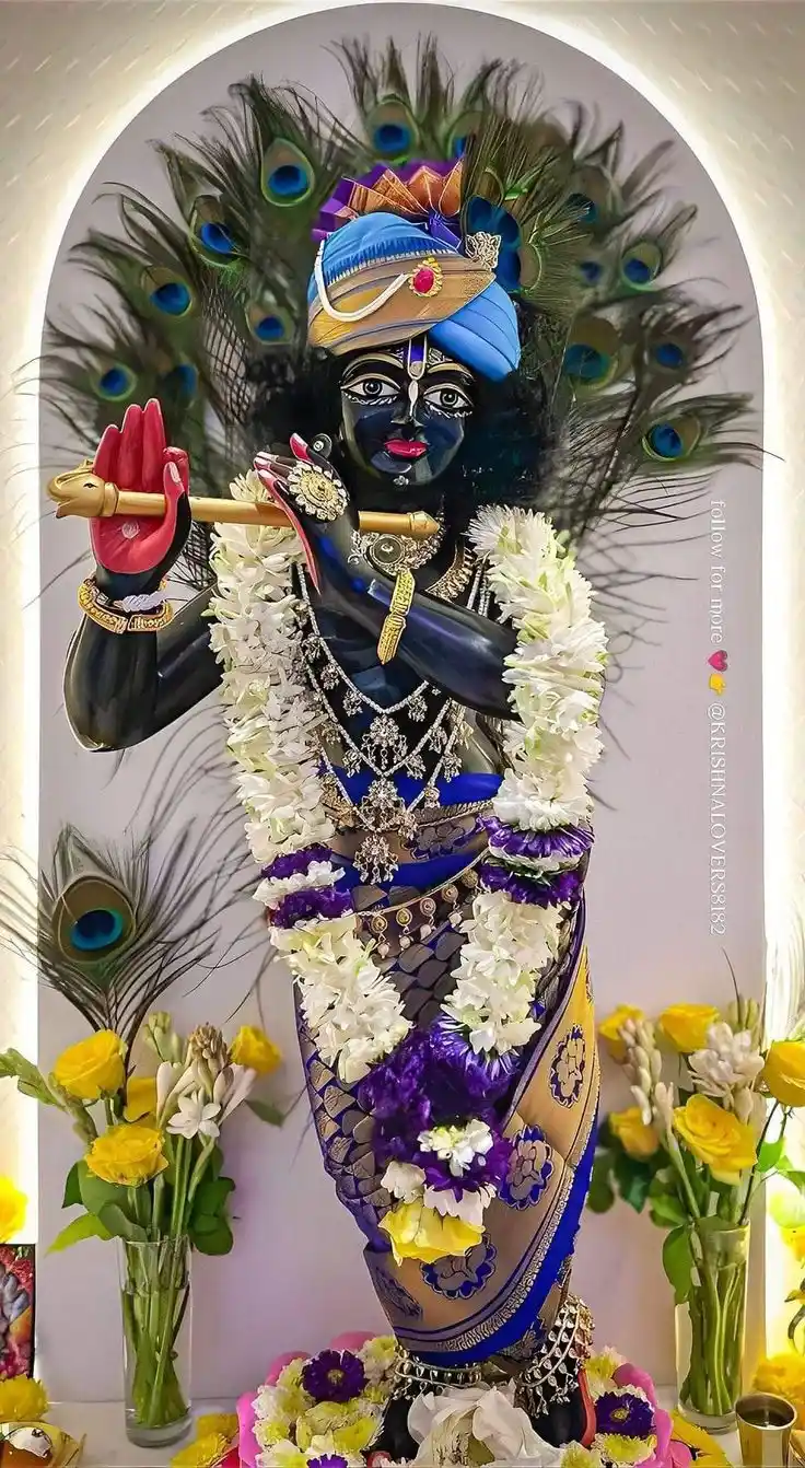 krishna and radha dp