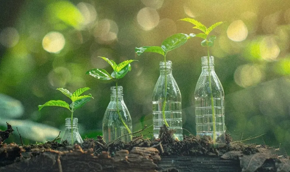 What is the Future of Plastic Recycling Know About the Latest Trends