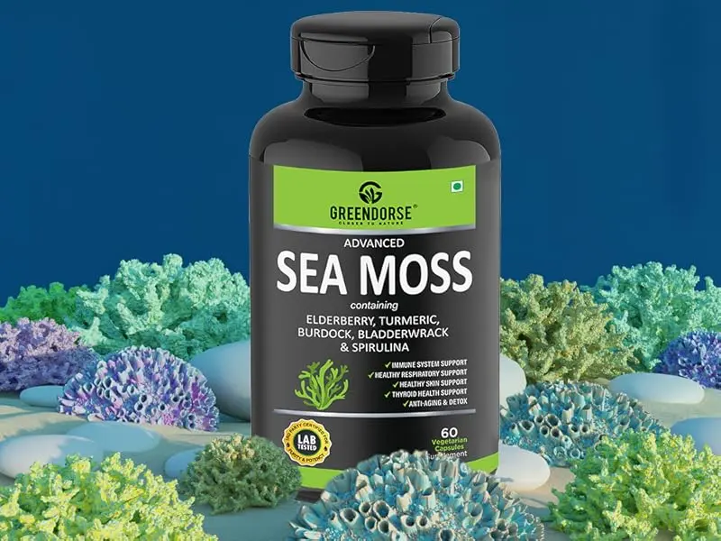 Why Sea Moss Capsules Are the Perfect Addition to Your Wellness Routine