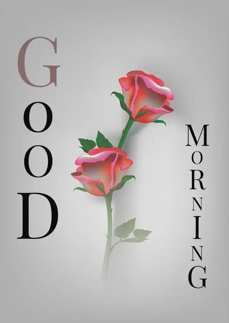 beautiful good morning images hd