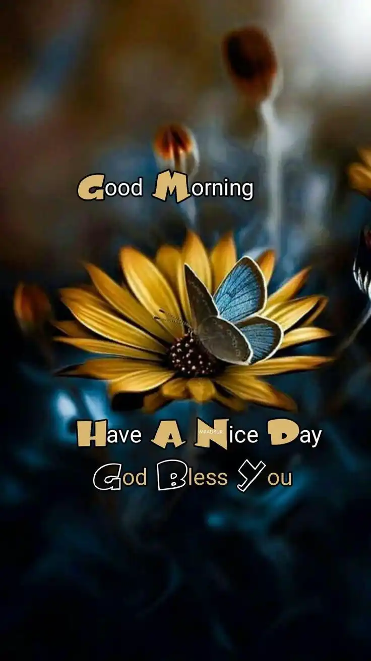 budu saranai good morning photos sinhala love