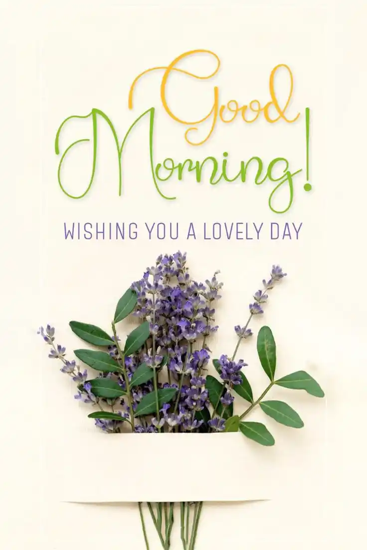 cloudy good morning pic