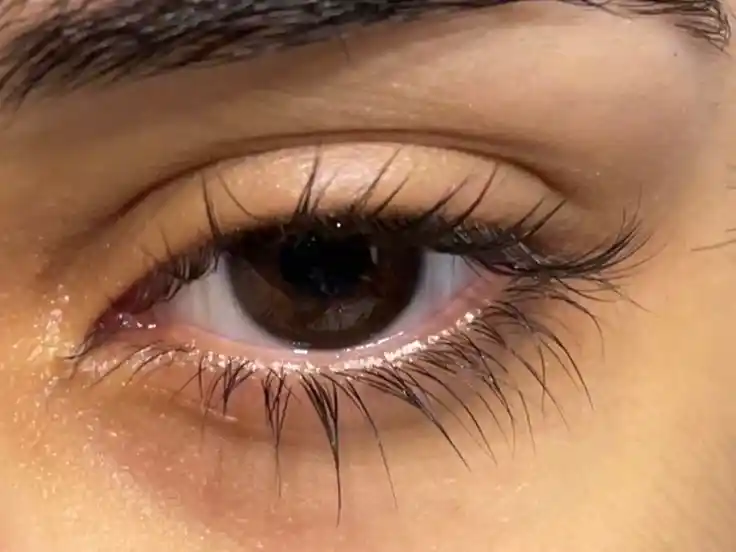 eyes pic girl dp download