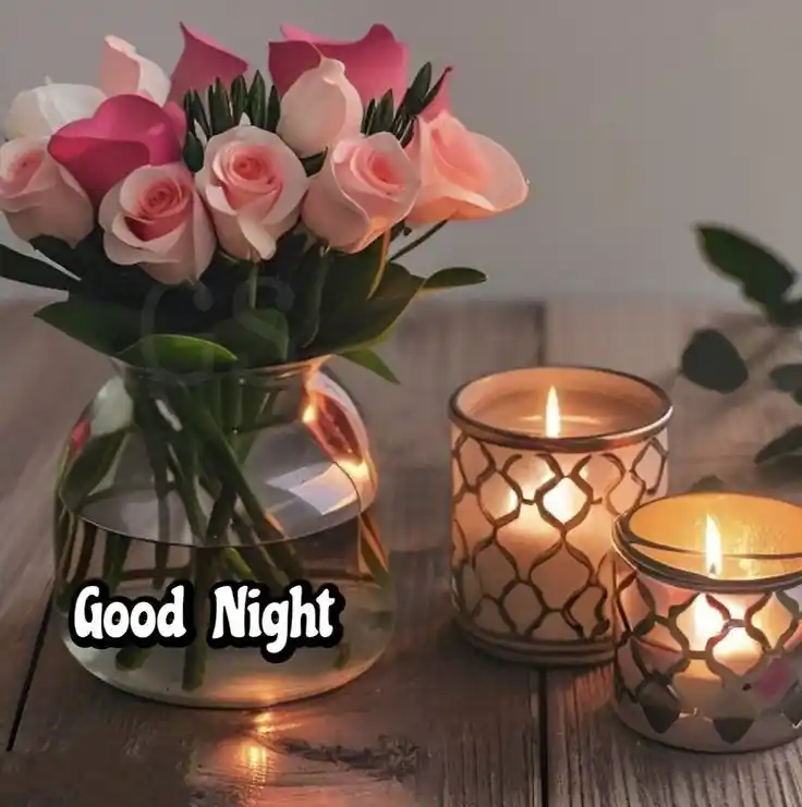 funny good night pictures