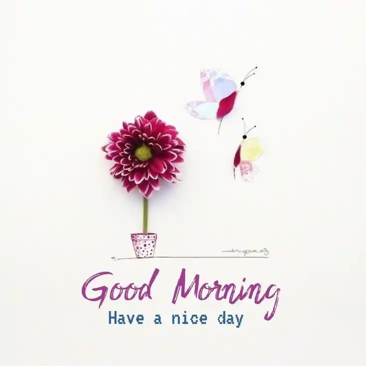 good morning images animated hd