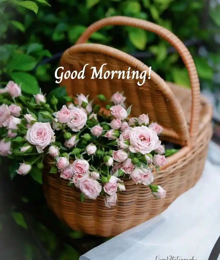 good morning images english for whatsapp