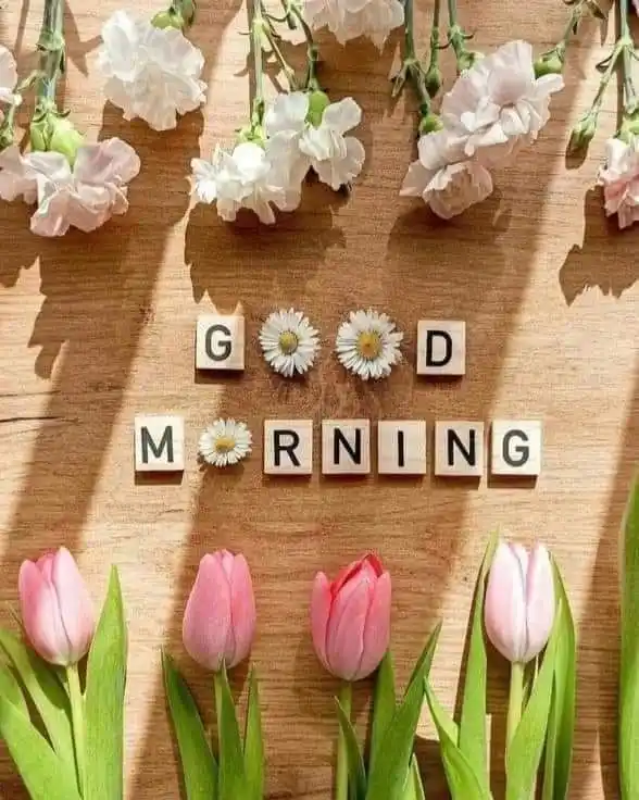 good morning photos and quotes