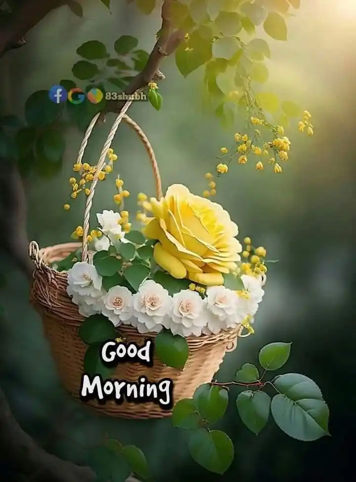 good morning photos arabic