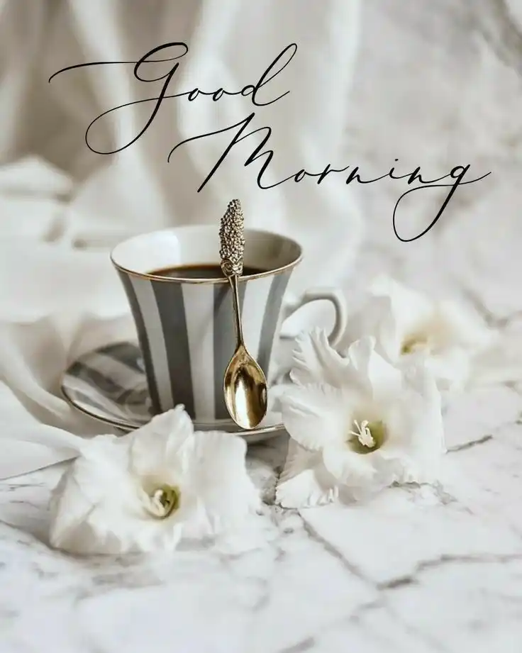 good morning photos images