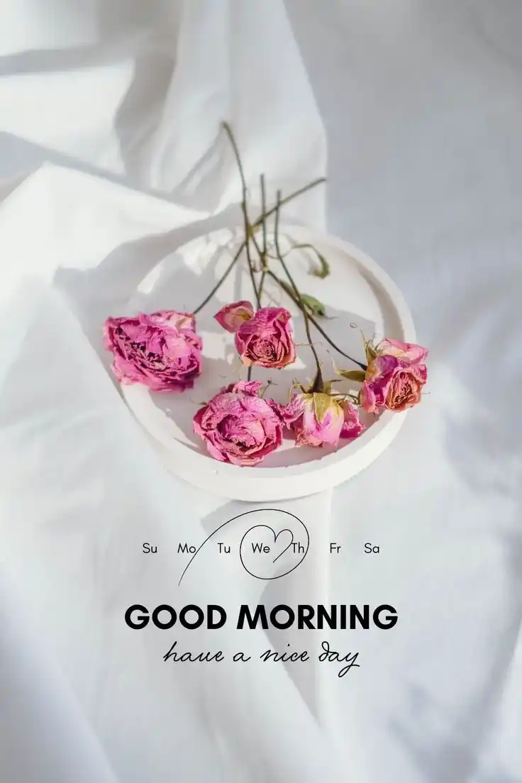 good morning pic bengali love