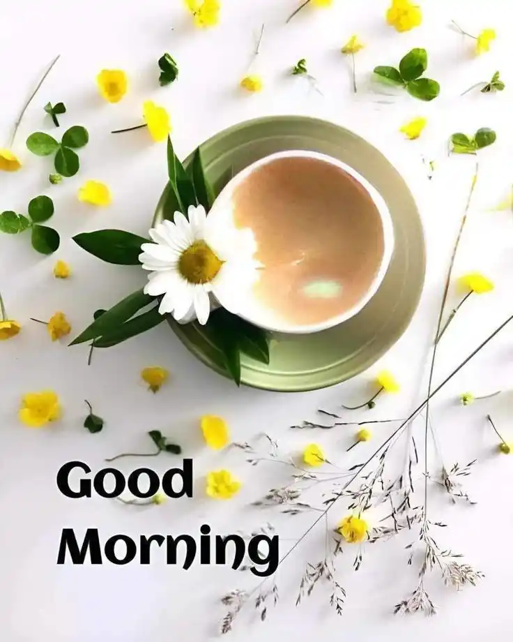 good morning pic cup of tea