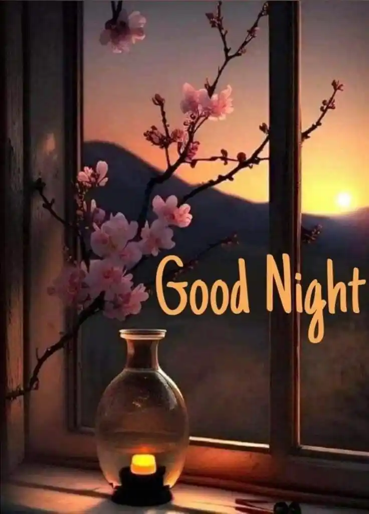 good night photos free