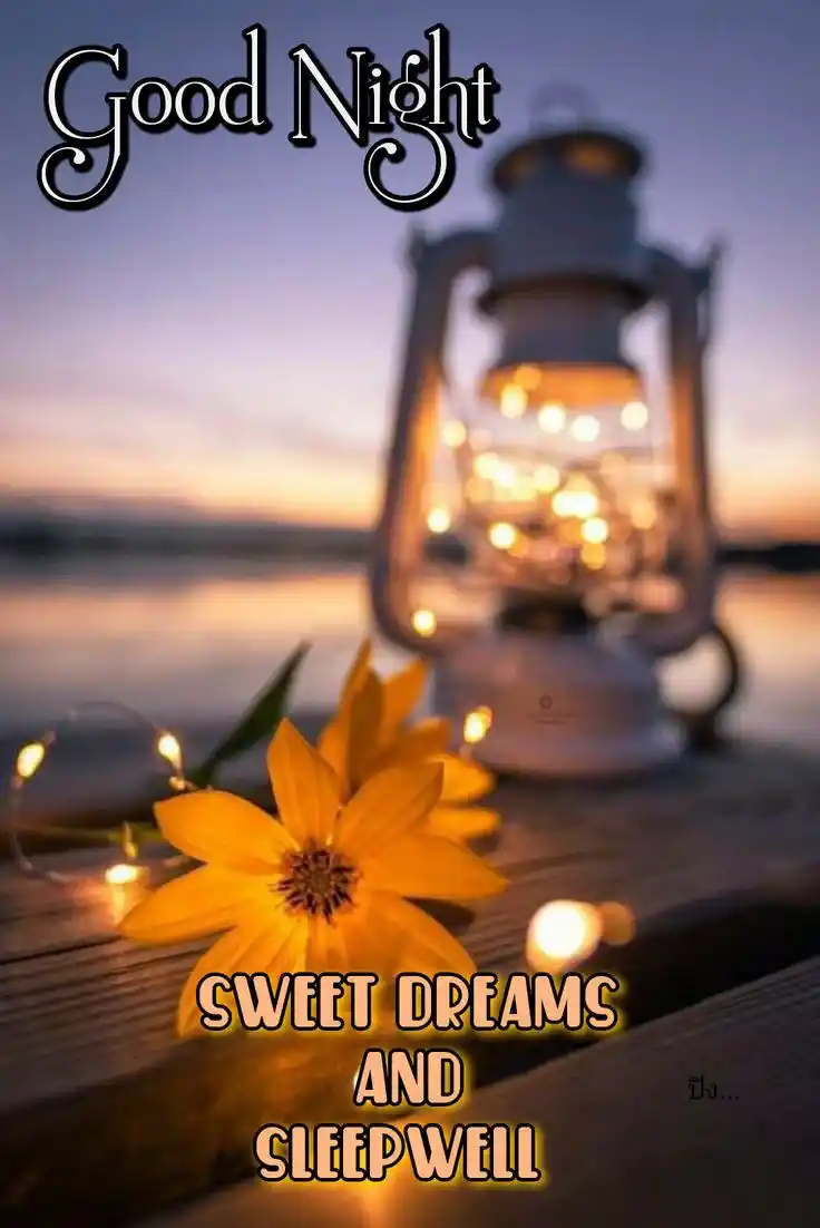 good night photos images