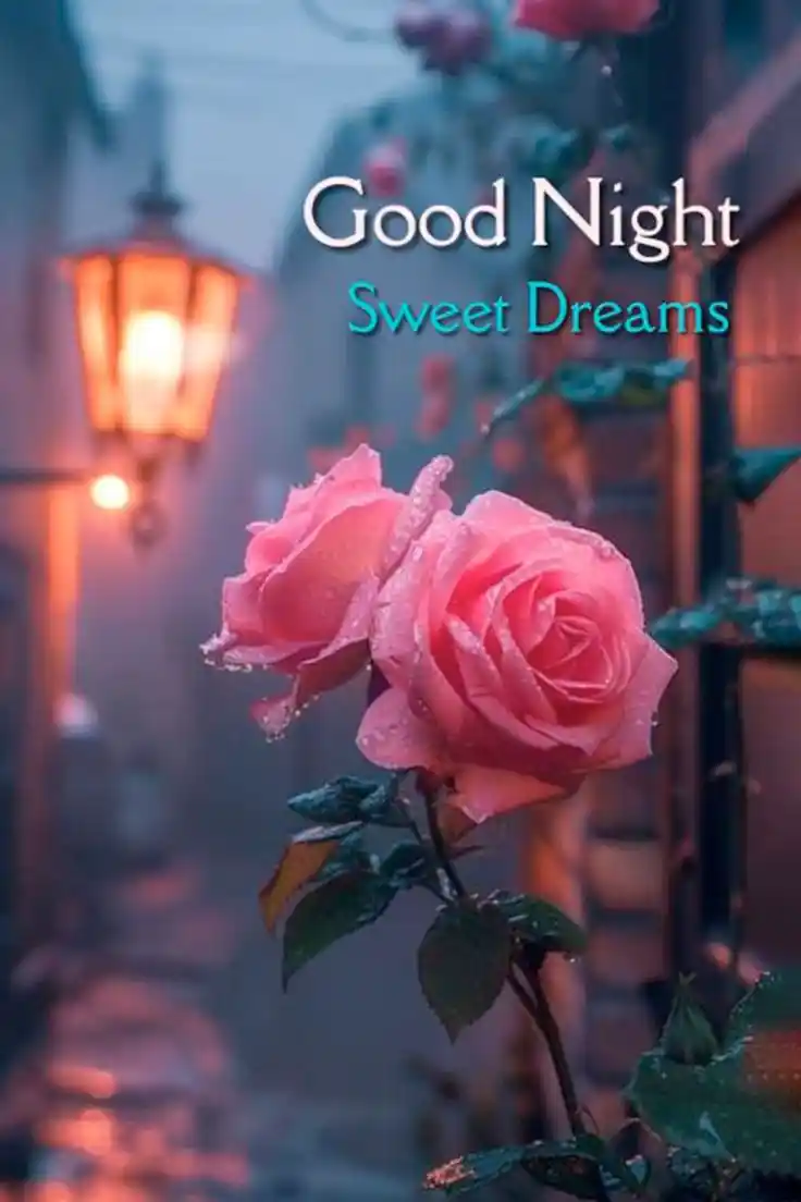 how to take good night pictures on iphone