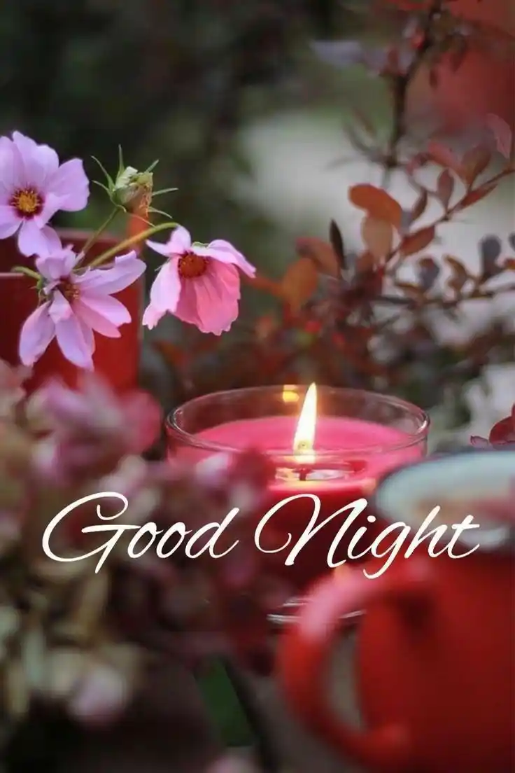 kiss good night photo