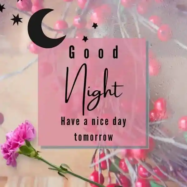 pretty good night pictures