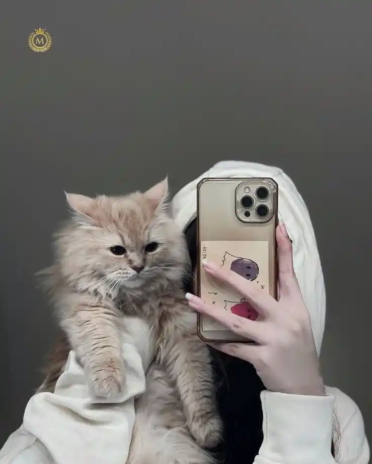 stylish hijab girl dp crown instagram beautiful niqab cartoon 108