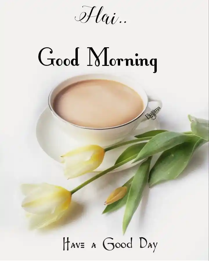 today special good morning images download