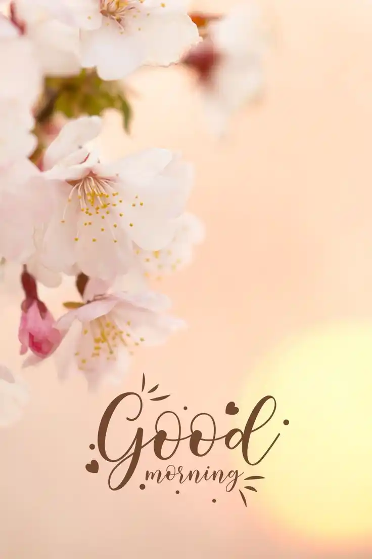 today special good morning images gif